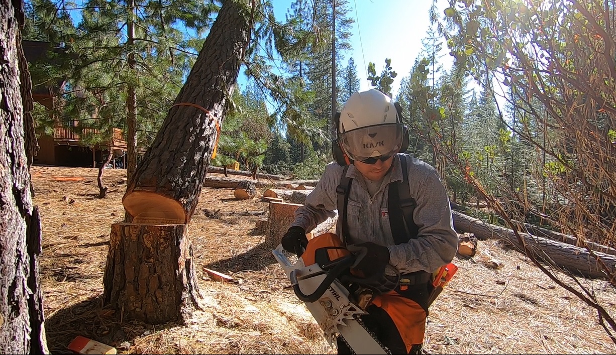 Tree Cutting Placerville CA