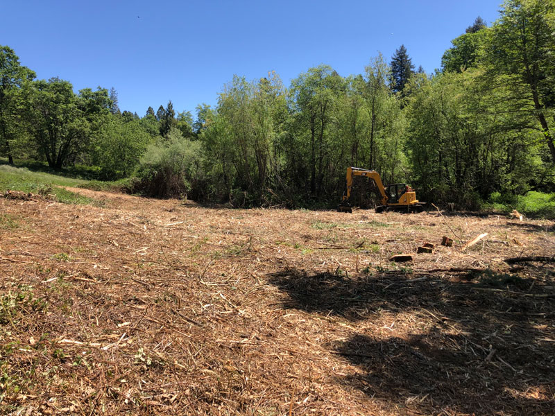 Brush Removal Service Placerville CA