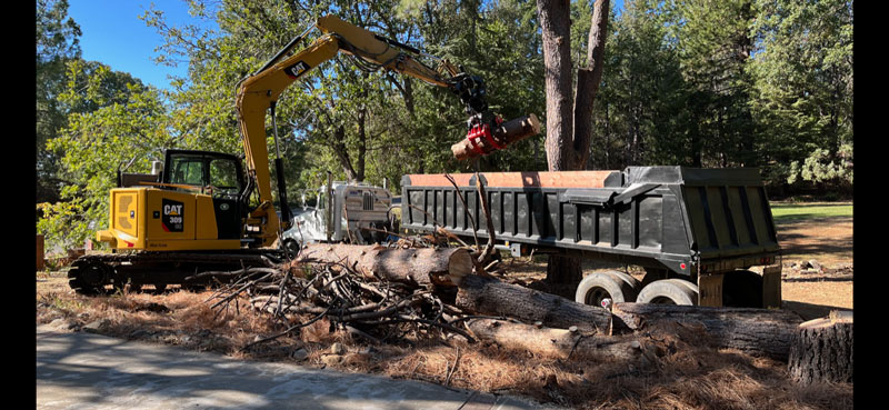 Lot Clearing Placerville CA