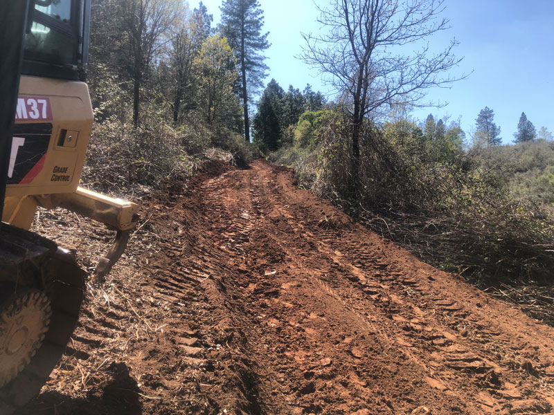Tree & Brush Removal Placerville CA